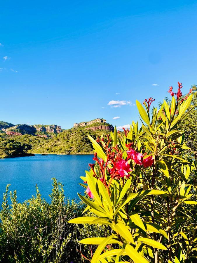 Apartaments Chenin Blanc-Priorat- Cornudella de Montsant Екстериор снимка